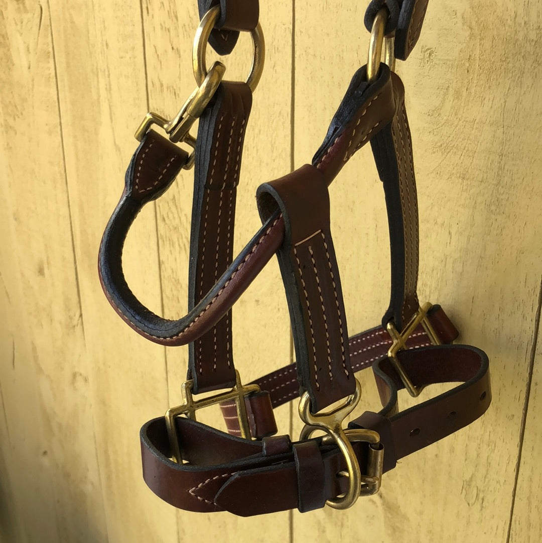 Fine Used Weaver Leather Stitched Pony Halter