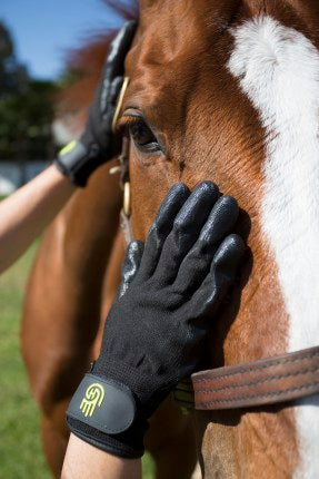 Hands On Grooming Gloves - Horse & Hound Tack Shop & Pet Supply