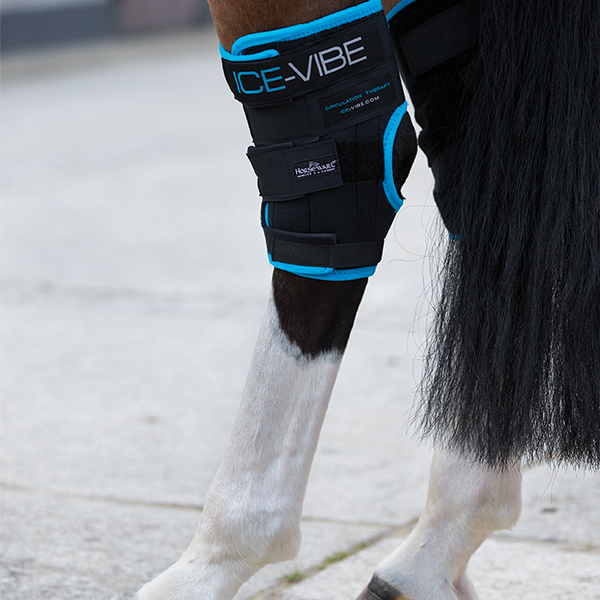 Ice hock boots for horses hotsell