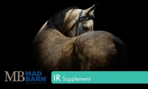 Mad Barn IR Supplement – Pellets - Horse & Hound Tack Shop & Pet Supply