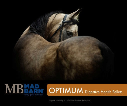 Mad Barn Optimum Digestive Health – Pellets - Horse & Hound Tack Shop & Pet Supply