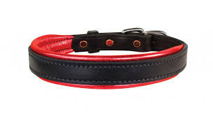 Perri's Padded Leather Dog Collar - Horse & Hound Tack Shop & Pet Supply