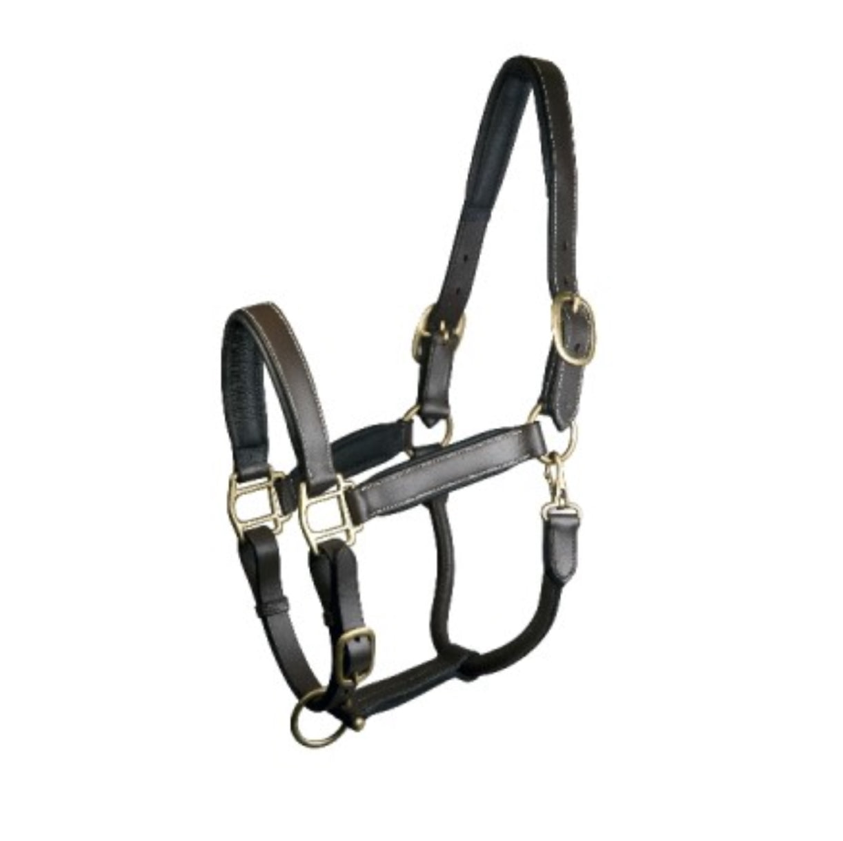 Shires Padded Leather Halter