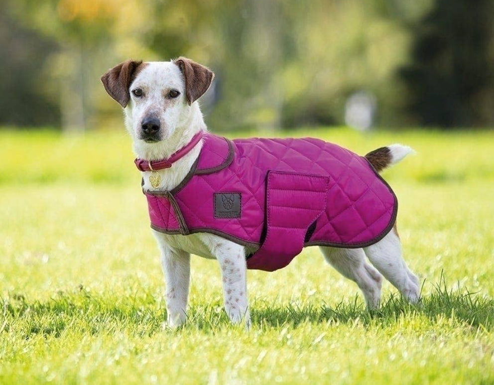 Digby & Fox Quilted Dog Coat
