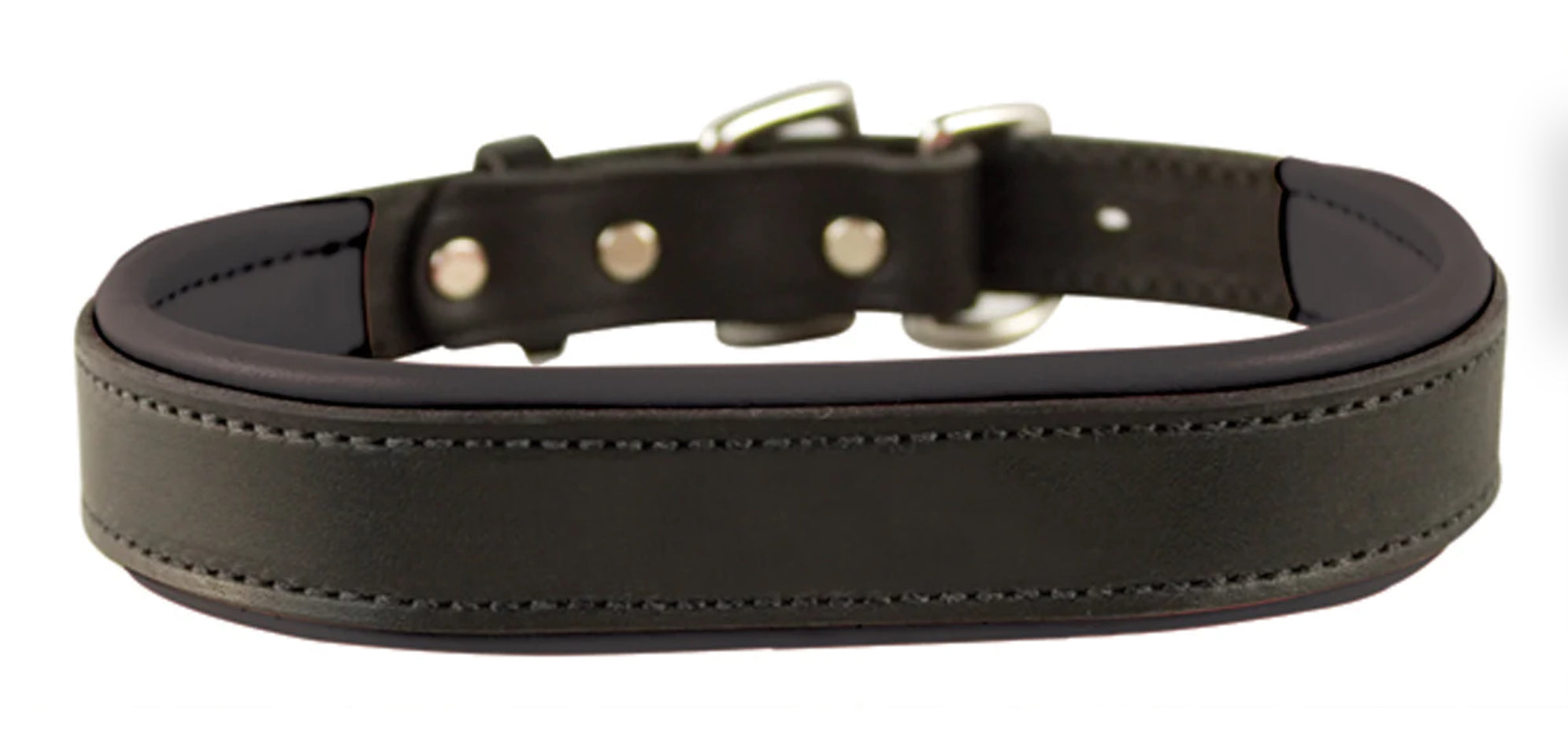 Perri’s Padded Leather Dog Collar (XXX-Small)
