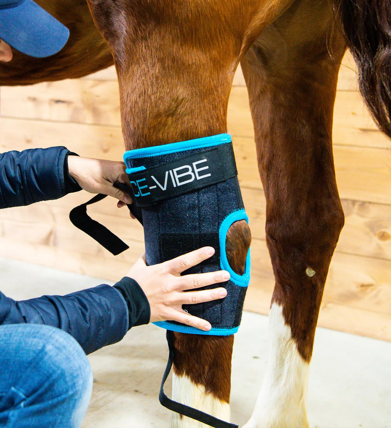 Horse knee clearance boots