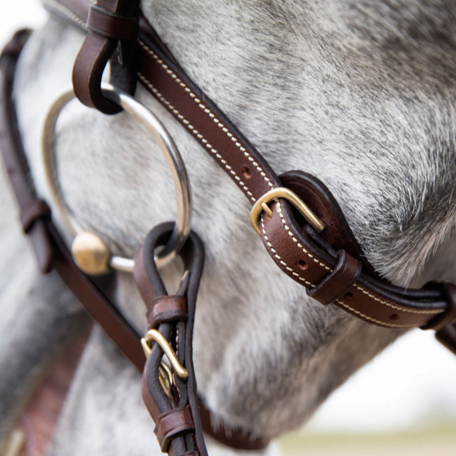 Horze Constance Padded Flash Bridle
