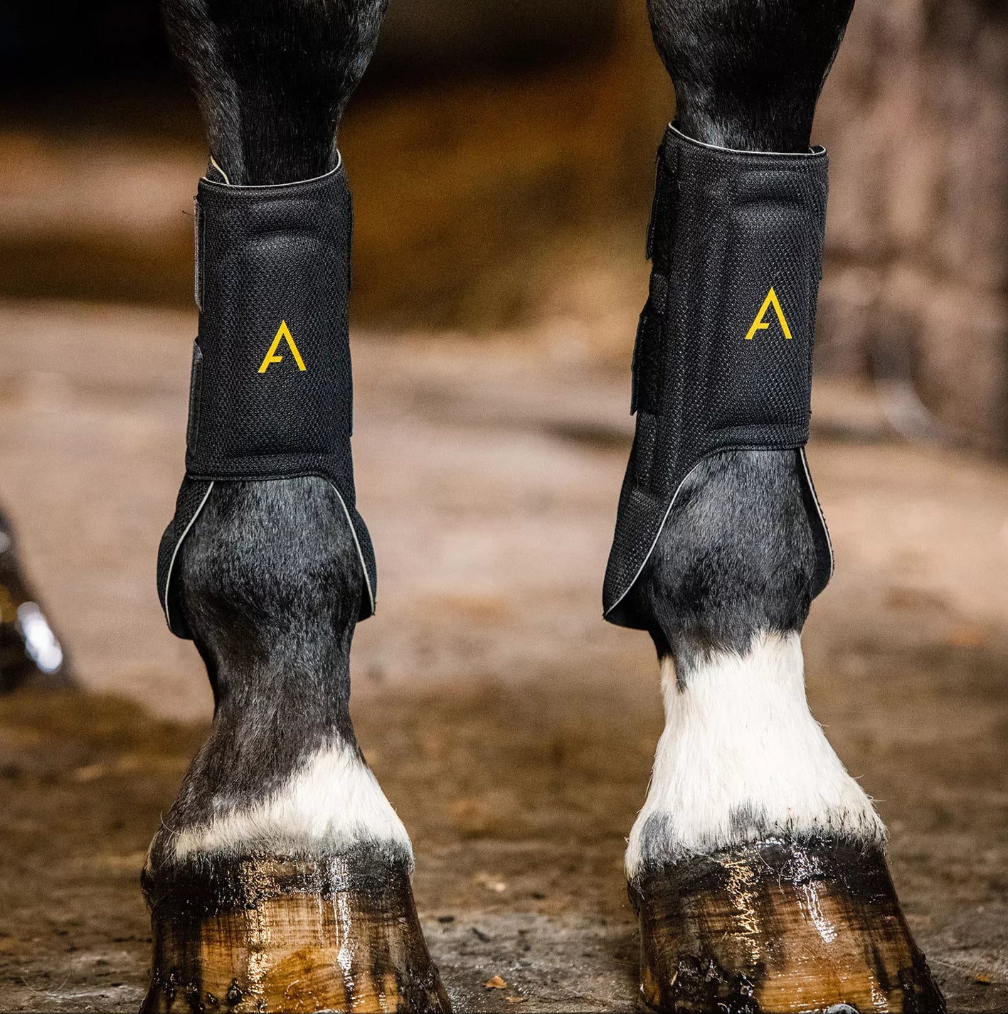 Horseware 2025 riding boots