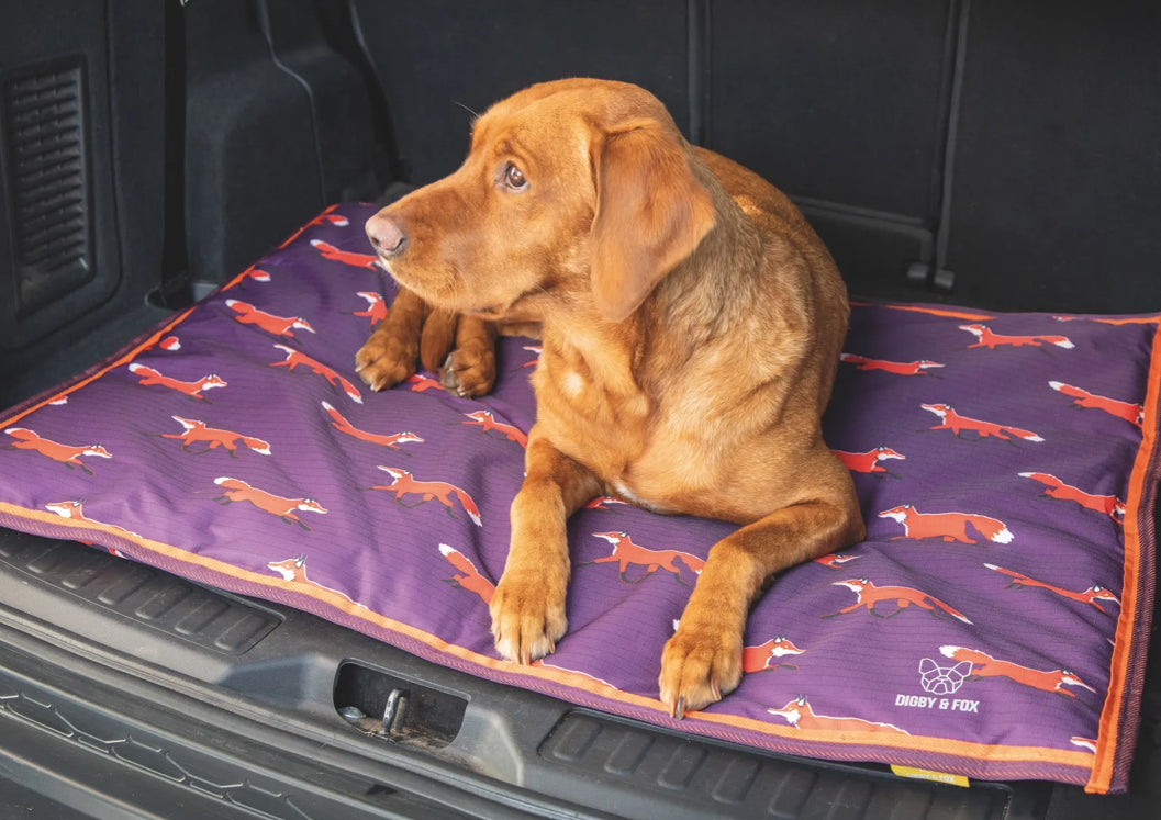 Digby & Fox Waterproof Dog Bed