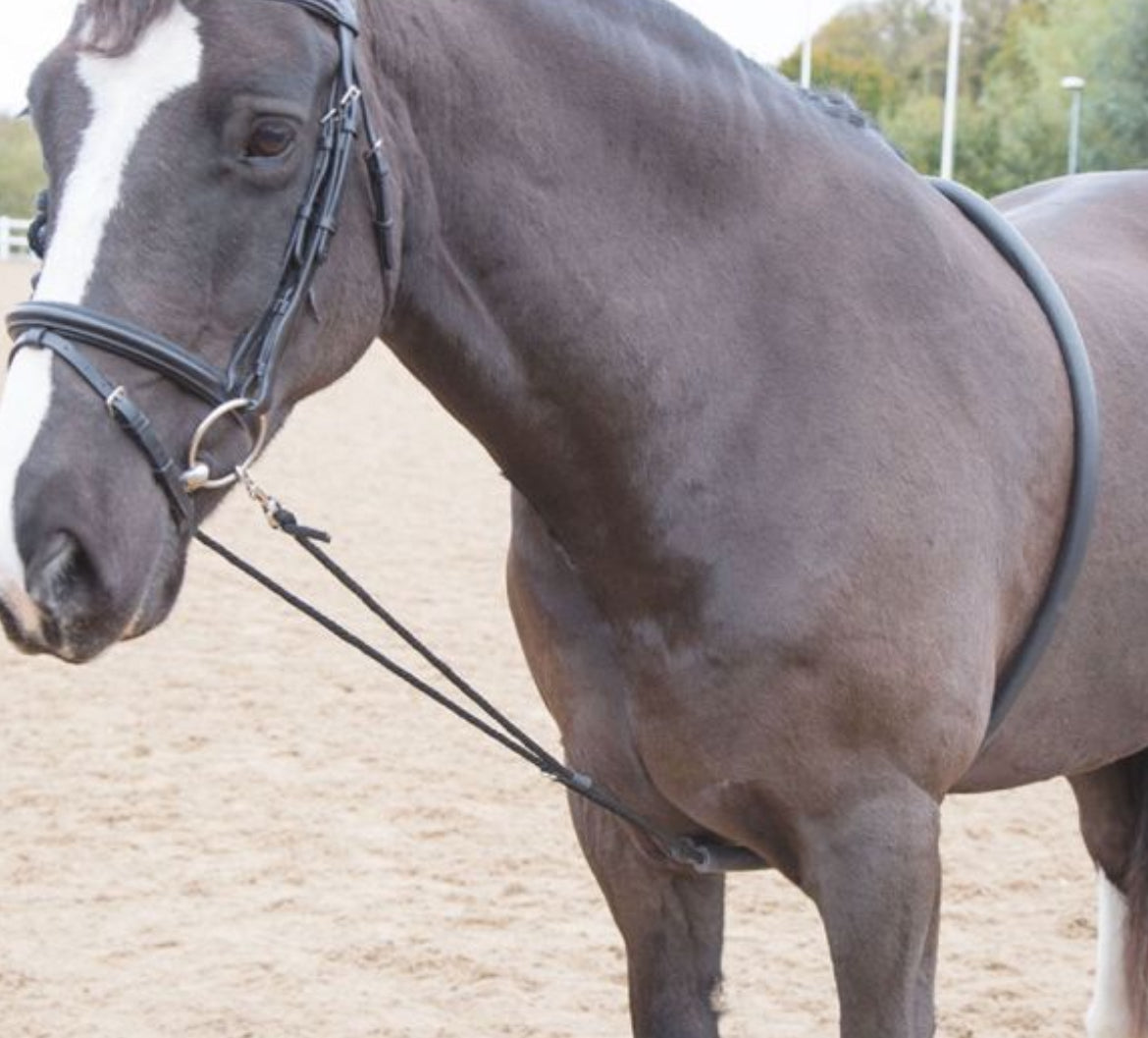 Shires Soft Lunging Aid