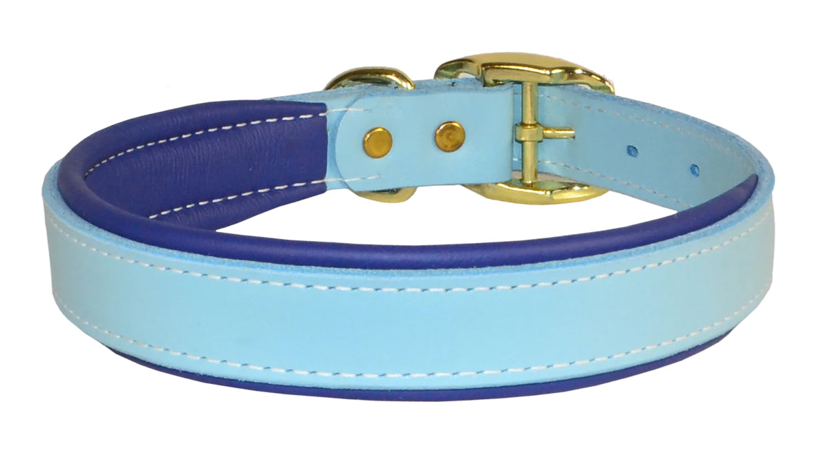 Perri’s Padded Leather Dog Collar
