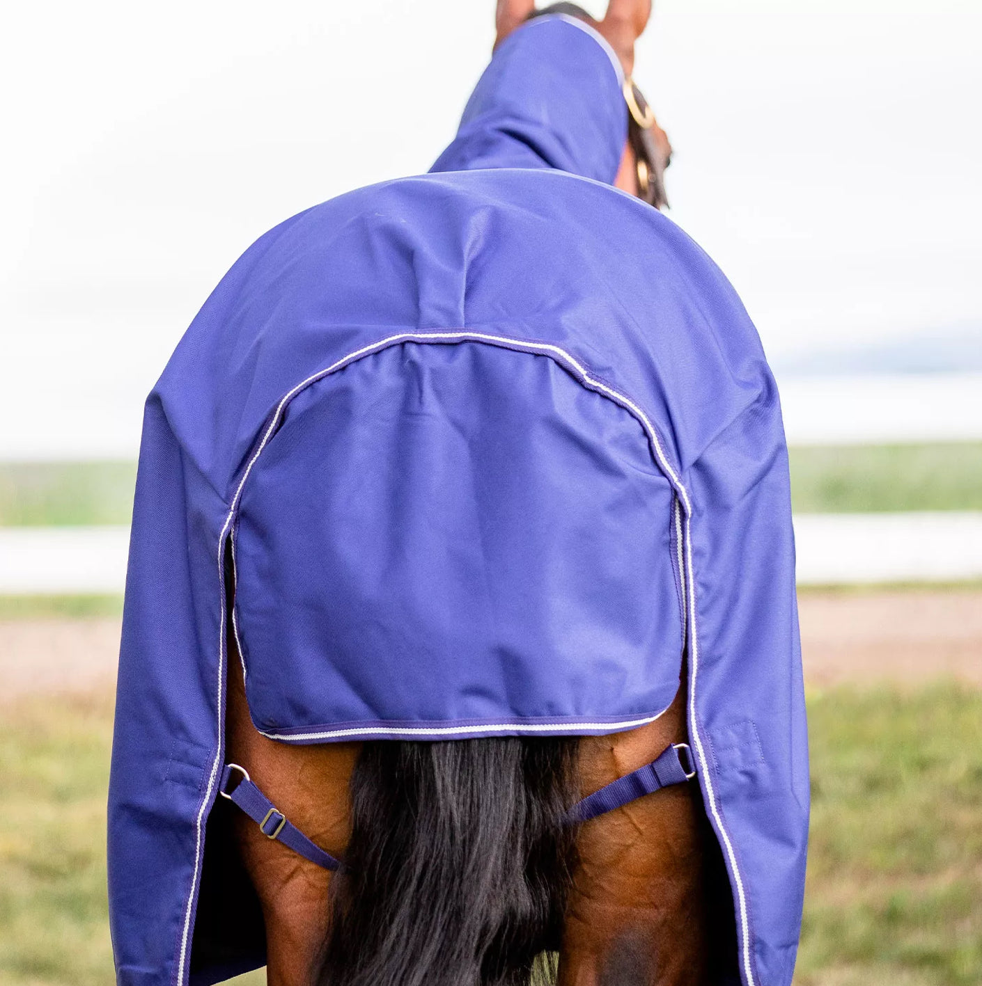 Horseware Amigo® Ripstop Plus 900D 200G Turnout Rug (Black/Classic Blu Horseware Amigo® Ripstop Plus 900D 200G Turnout Rug (Black/Classic Blu
