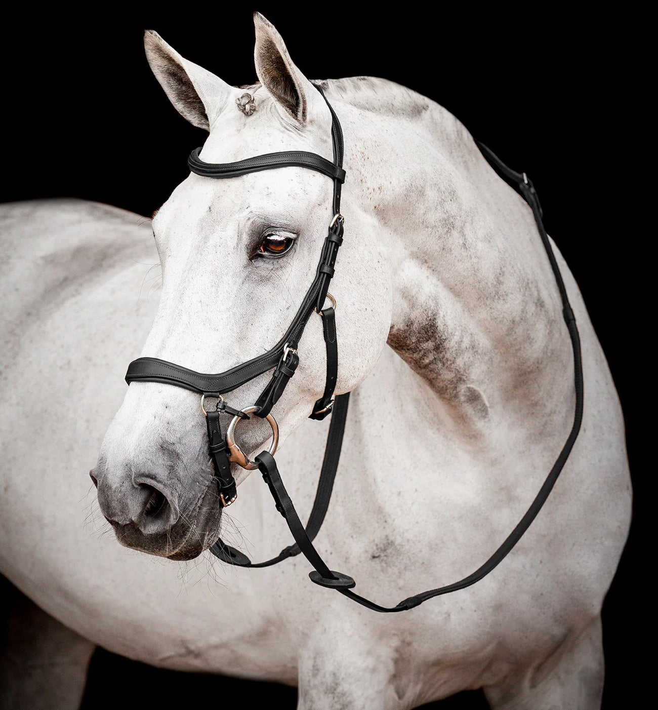 Rambo Micklem 2 Competition Bridle