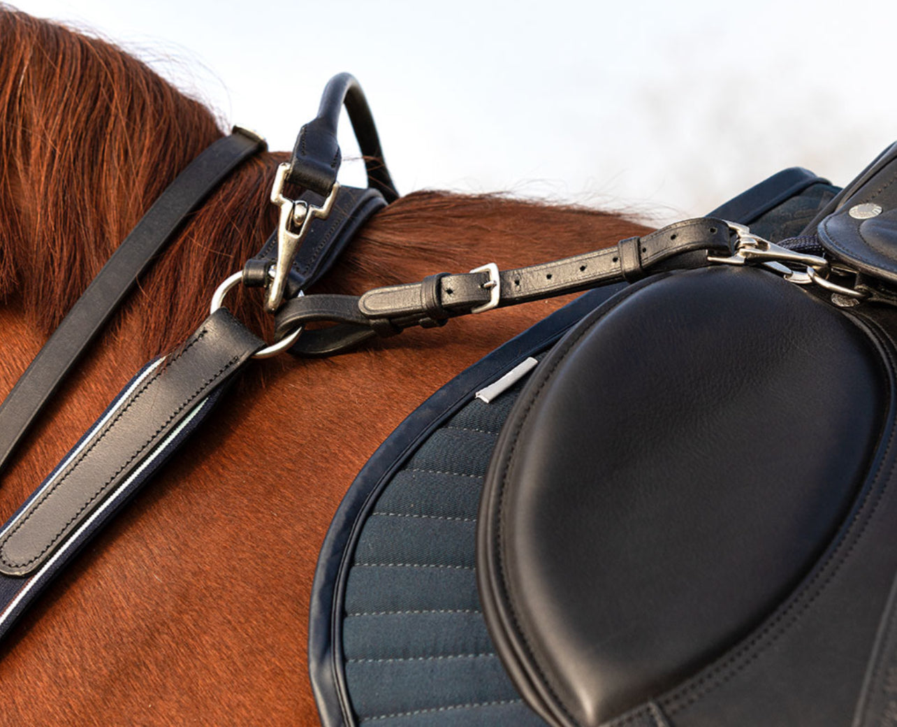 Breastplate (bride De Poitrail) Horseware Rambo Micklem - Martingale Running Pour Cheval
