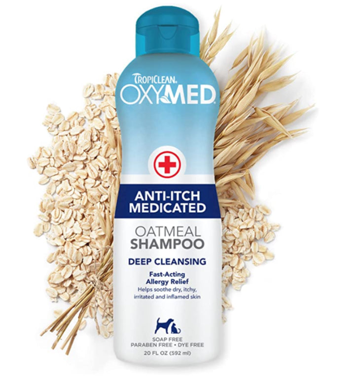 TropiClean OxyMed Anti-Itch Medicated Oatmeal Shampoo