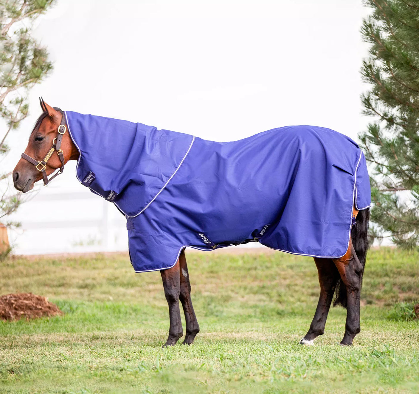 Horseware Amigo Hero 900 Revive Turnout Plus 200g Horseware Amigo Hero 900 Revive Turnout Plus 200g