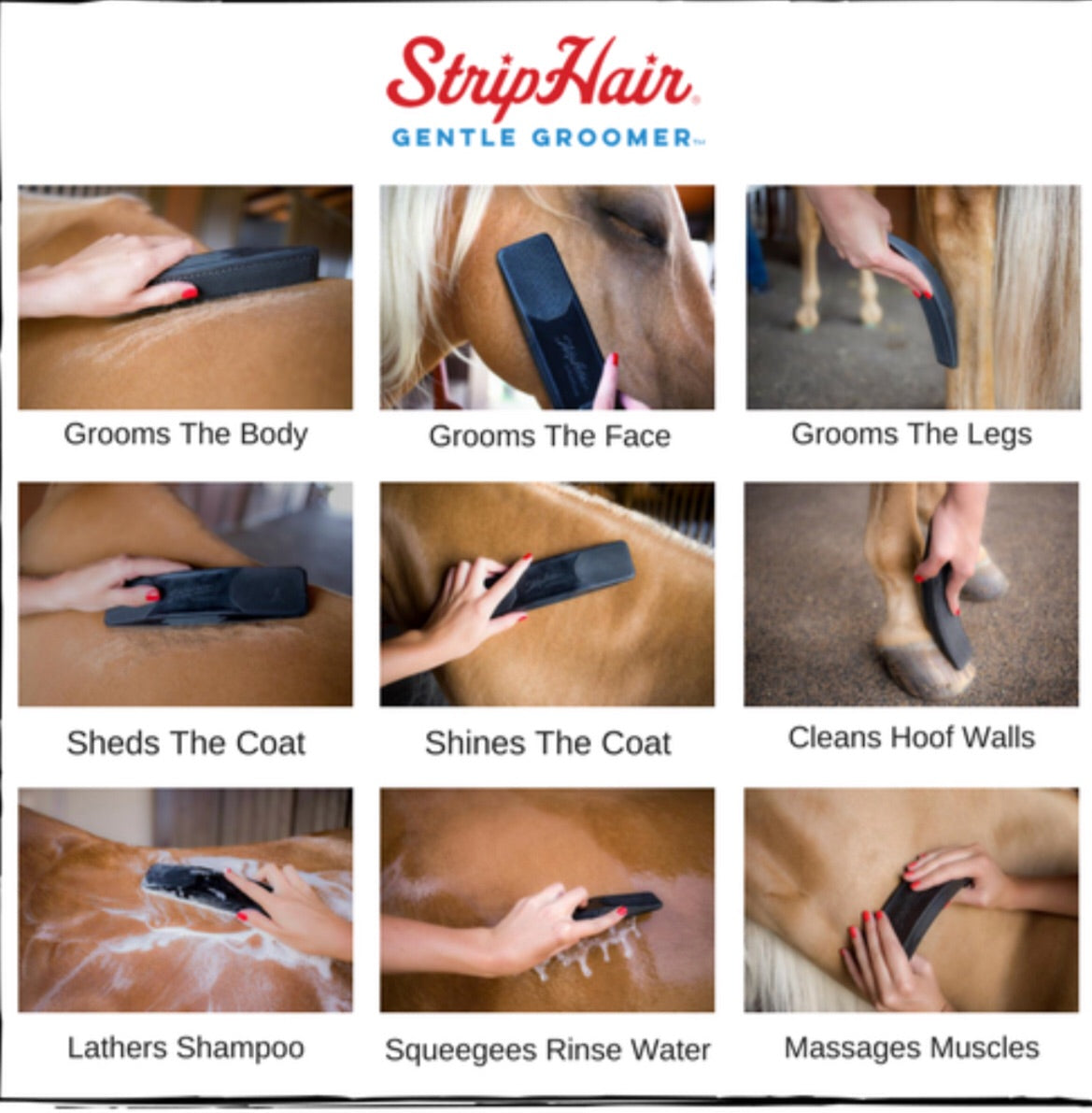 Strip Hair Gentle Groomer - Horse & Hound Tack Shop & Pet Supply